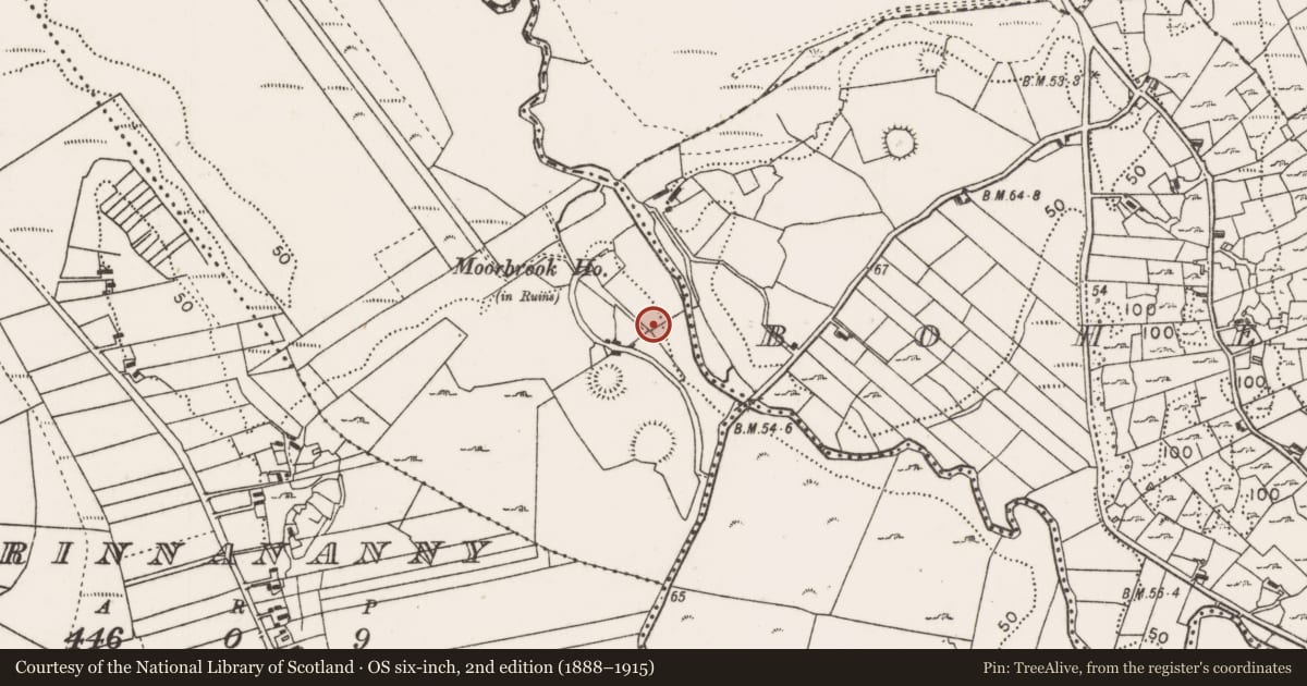 Ordnance Survey six-inch map, 2nd edition (1888–1915) covering the location of Cairn - unclassified, Moorbrook, County Mayo, with a pin at the register's coordinates