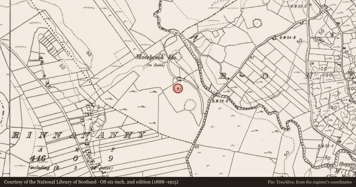 Ordnance Survey six-inch map, 2nd edition (1888–1915) covering the location of Ringfort - rath, Moorbrook, County Mayo, with a pin at the register's coordinates