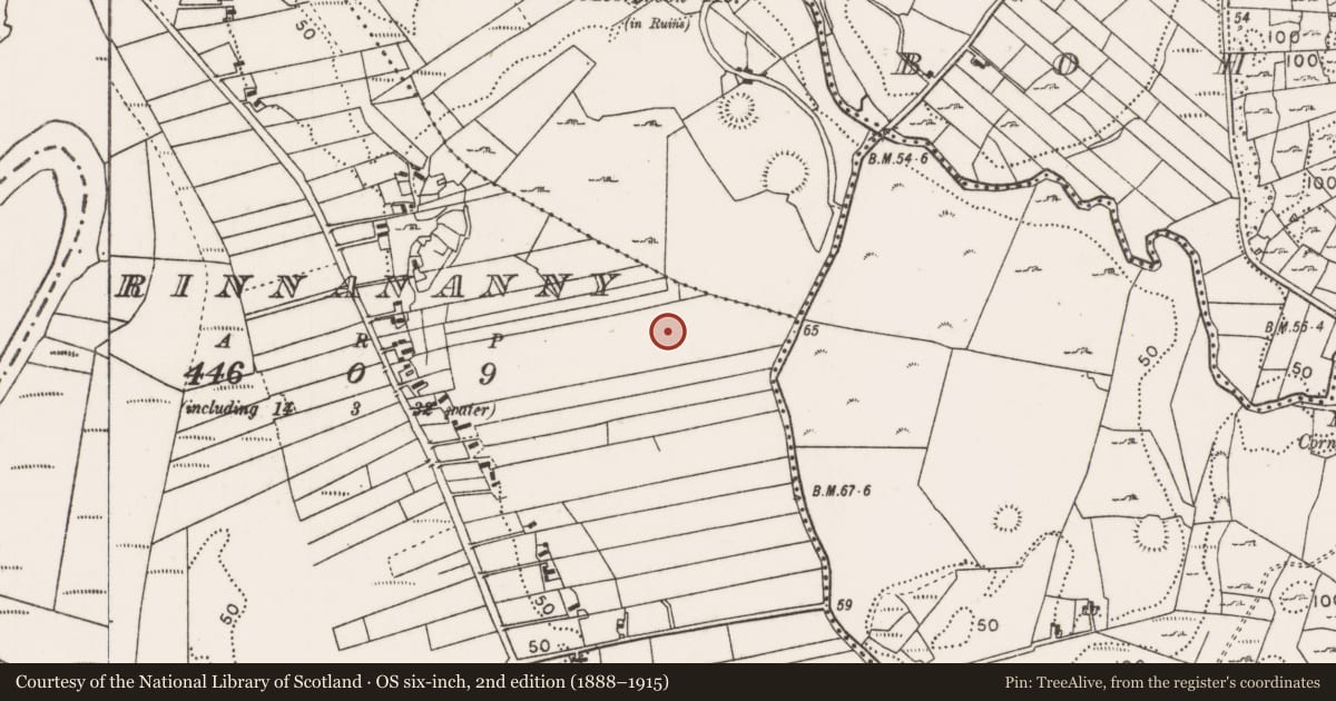 Ordnance Survey six-inch map, 2nd edition (1888–1915) covering the location of Cairn - unclassified, Rinnananny, County Mayo, with a pin at the register's coordinates