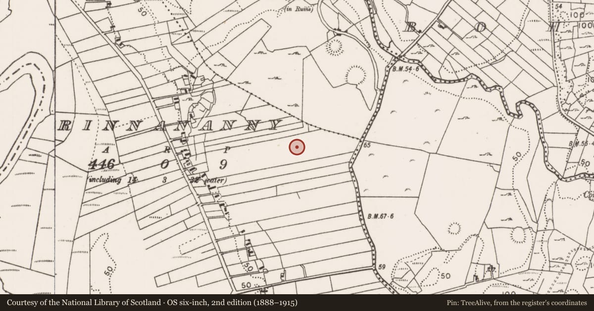 Ordnance Survey six-inch map, 2nd edition (1888–1915) covering the location of Cairn - unclassified, Rinnananny, County Mayo, with a pin at the register's coordinates