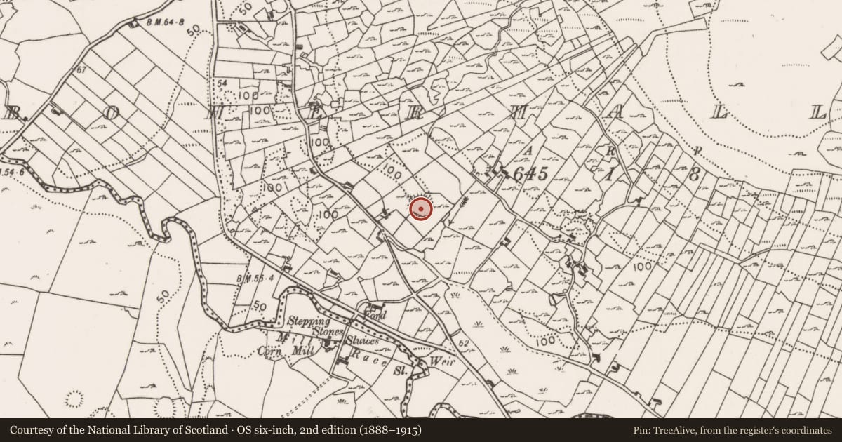 Ordnance Survey six-inch map, 2nd edition (1888–1915) covering the location of Ringfort - rath, Boherhallagh, County Mayo, with a pin at the register's coordinates