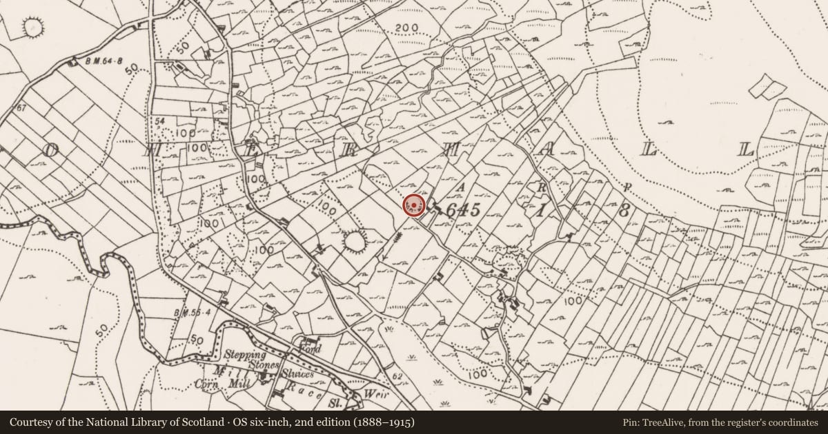 Ordnance Survey six-inch map, 2nd edition (1888–1915) covering the location of Ringfort - rath, Boherhallagh, County Mayo, with a pin at the register's coordinates