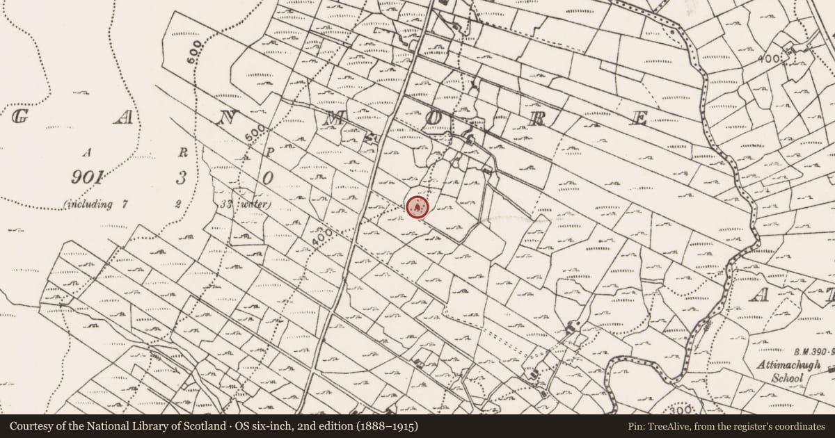 Ordnance Survey six-inch map, 2nd edition (1888–1915) covering the location of Ringfort - cashel, Larganmore, County Mayo, with a pin at the register's coordinates