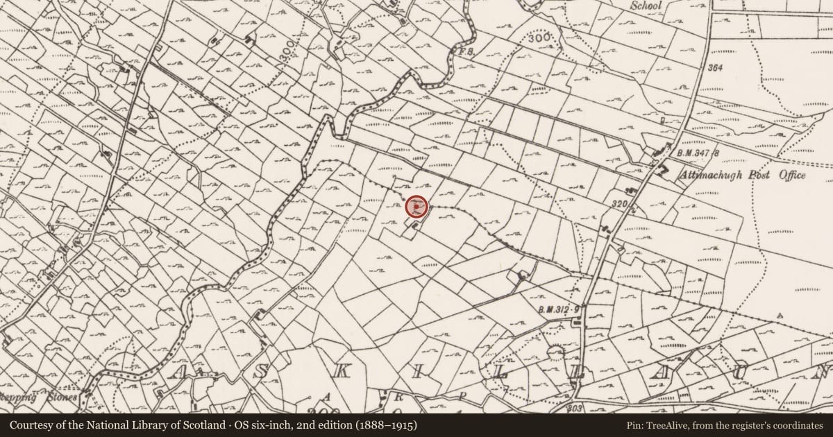 Ordnance Survey six-inch map, 2nd edition (1888–1915) covering the location of Souterrain, Askillaun, County Mayo, with a pin at the register's coordinates