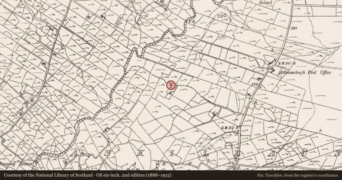 Ordnance Survey six-inch map, 2nd edition (1888–1915) covering the location of House - indeterminate date, Askillaun, County Mayo, with a pin at the register's coordinates