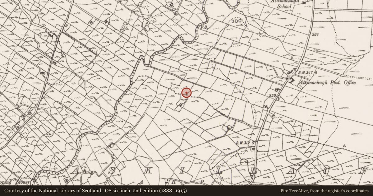 Ordnance Survey six-inch map, 2nd edition (1888–1915) covering the location of Souterrain, Askillaun, County Mayo, with a pin at the register's coordinates