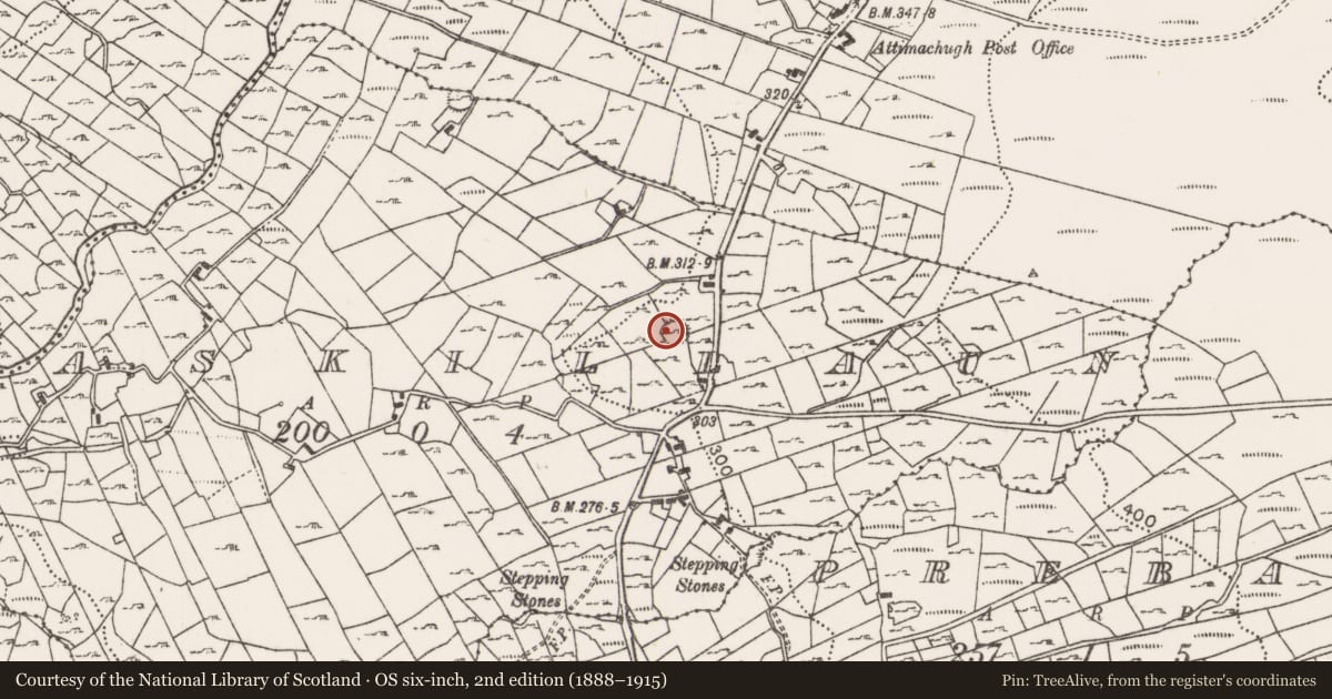 Ordnance Survey six-inch map, 2nd edition (1888–1915) covering the location of Ringfort - cashel, Askillaun, County Mayo, with a pin at the register's coordinates