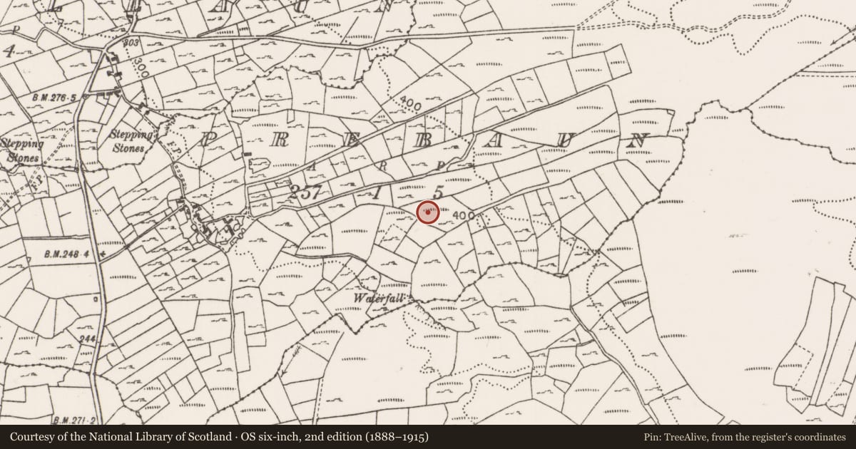 Ordnance Survey six-inch map, 2nd edition (1888–1915) covering the location of Megalithic tomb - portal tomb, Prebaun, County Mayo, with a pin at the register's coordinates