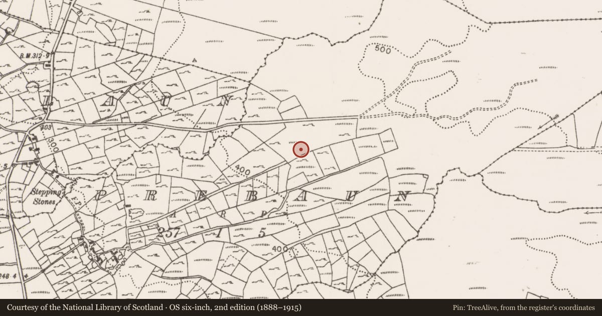 Ordnance Survey six-inch map, 2nd edition (1888–1915) covering the location of Megalithic structure, Prebaun, County Mayo, with a pin at the register's coordinates