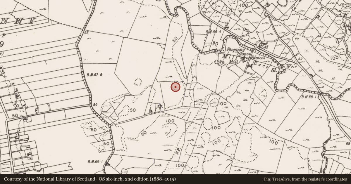 Ordnance Survey six-inch map, 2nd edition (1888–1915) covering the location of Enclosure, Creggagh, County Mayo, with a pin at the register's coordinates