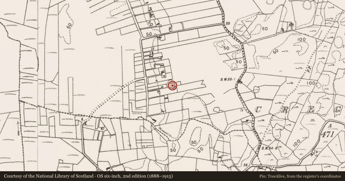 Ordnance Survey six-inch map, 2nd edition (1888–1915) covering the location of Enclosure, Rinnananny, County Mayo, with a pin at the register's coordinates