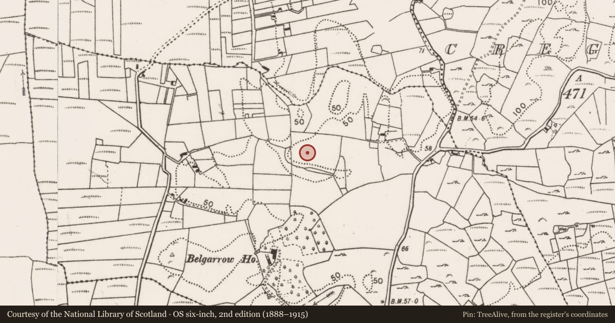 Ordnance Survey six-inch map, 2nd edition (1888–1915) covering the location of Enclosure, Belgarrow, County Mayo, with a pin at the register's coordinates
