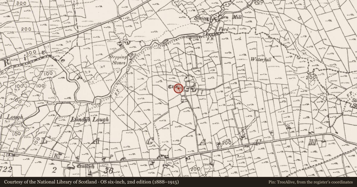 Ordnance Survey six-inch map, 2nd edition (1888–1915) covering the location of Bullaun stone, Coollagagh, County Mayo, with a pin at the register's coordinates