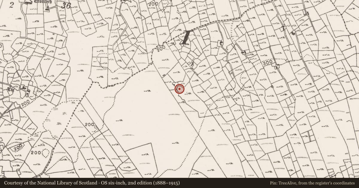 Ordnance Survey six-inch map, 2nd edition (1888–1915) covering the location of Ringfort - cashel, Callow, County Mayo, with a pin at the register's coordinates