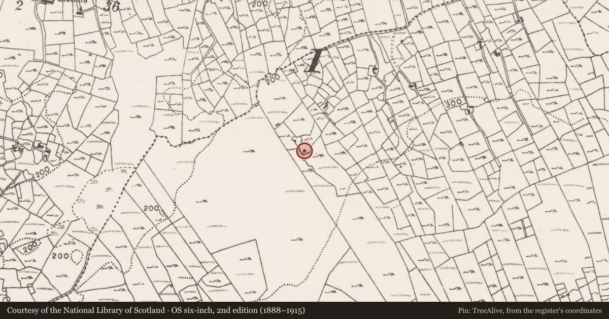 Ordnance Survey six-inch map, 2nd edition (1888–1915) covering the location of House - indeterminate date, Callow, County Mayo, with a pin at the register's coordinates