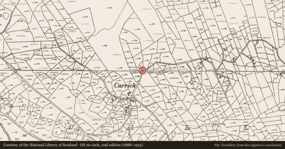 Ordnance Survey six-inch map, 2nd edition (1888–1915) covering the location of Ringfort - cashel, Callow, County Mayo, with a pin at the register's coordinates