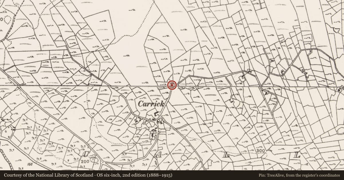 Ordnance Survey six-inch map, 2nd edition (1888–1915) covering the location of Souterrain, Callow, County Mayo, with a pin at the register's coordinates