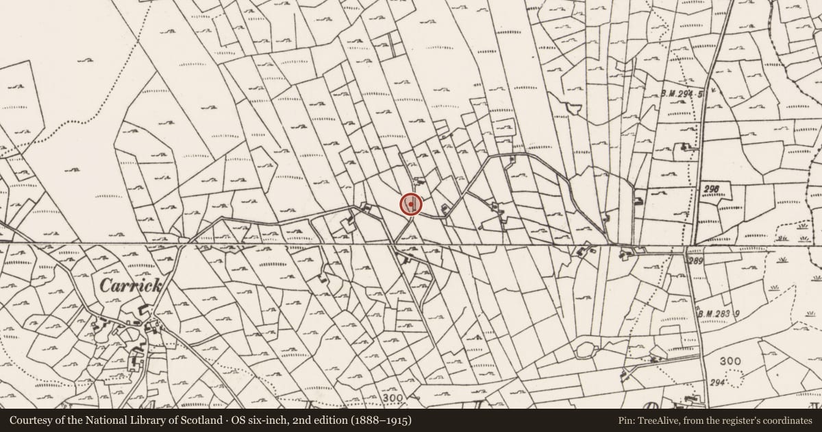 Ordnance Survey six-inch map, 2nd edition (1888–1915) covering the location of Bullaun stone, Callow, County Mayo, with a pin at the register's coordinates
