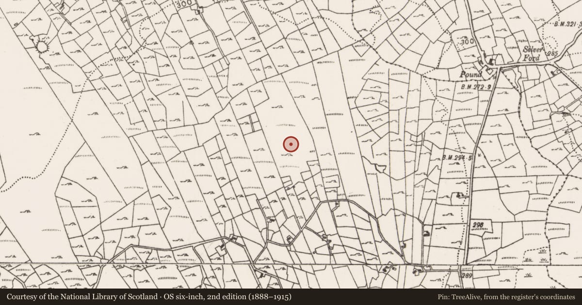 Ordnance Survey six-inch map, 2nd edition (1888–1915) covering the location of Standing stone, Callow, County Mayo, with a pin at the register's coordinates