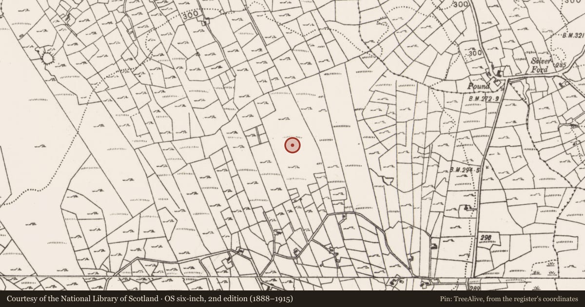 Ordnance Survey six-inch map, 2nd edition (1888–1915) covering the location of Stone circle, Callow, County Mayo, with a pin at the register's coordinates
