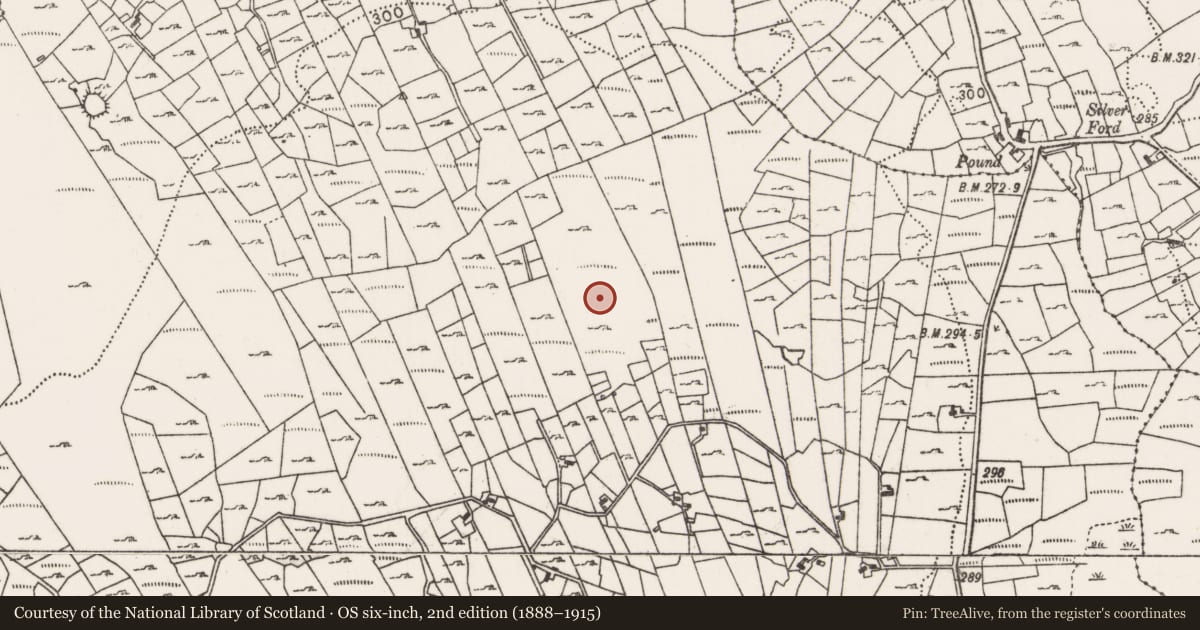 Ordnance Survey six-inch map, 2nd edition (1888–1915) covering the location of Boulder-burial, Callow, County Mayo, with a pin at the register's coordinates