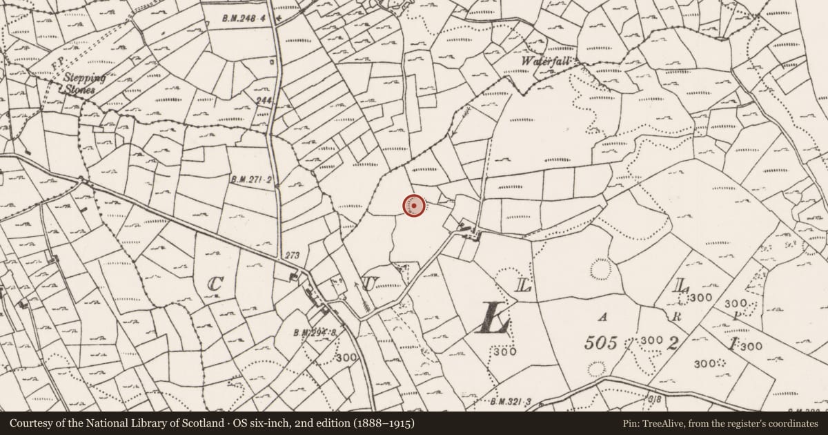 Ordnance Survey six-inch map, 2nd edition (1888–1915) covering the location of Ringfort - rath, Cullin, County Mayo, with a pin at the register's coordinates