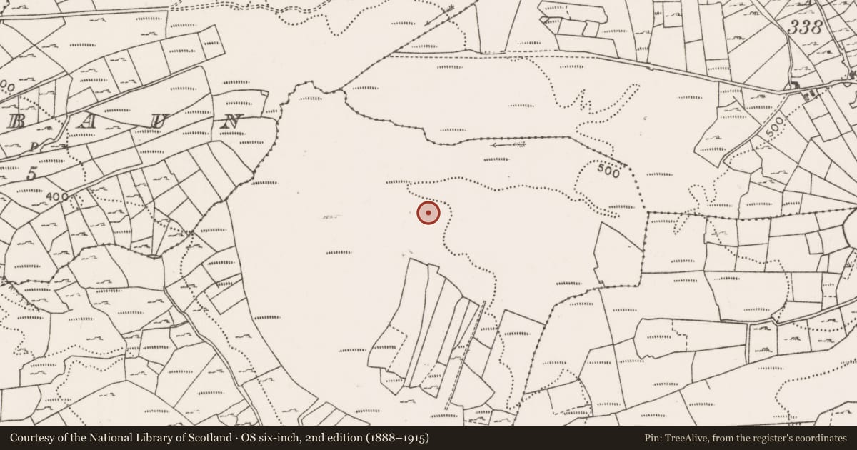 Ordnance Survey six-inch map, 2nd edition (1888–1915) covering the location of Field boundary, Cullin, County Mayo, with a pin at the register's coordinates