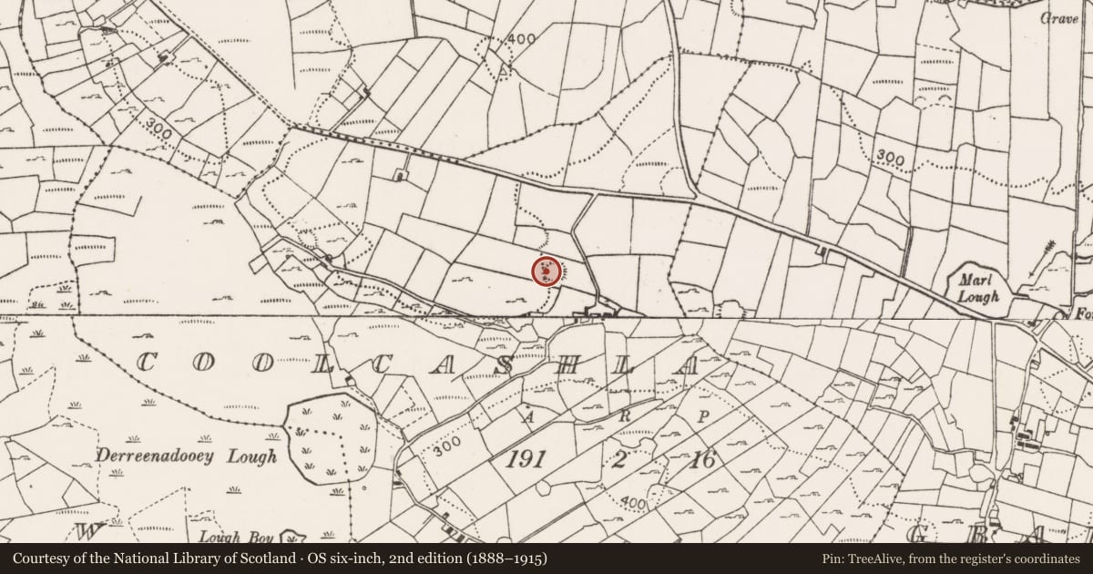 Ordnance Survey six-inch map, 2nd edition (1888–1915) covering the location of Ringfort - rath, Coolcashla, County Mayo, with a pin at the register's coordinates