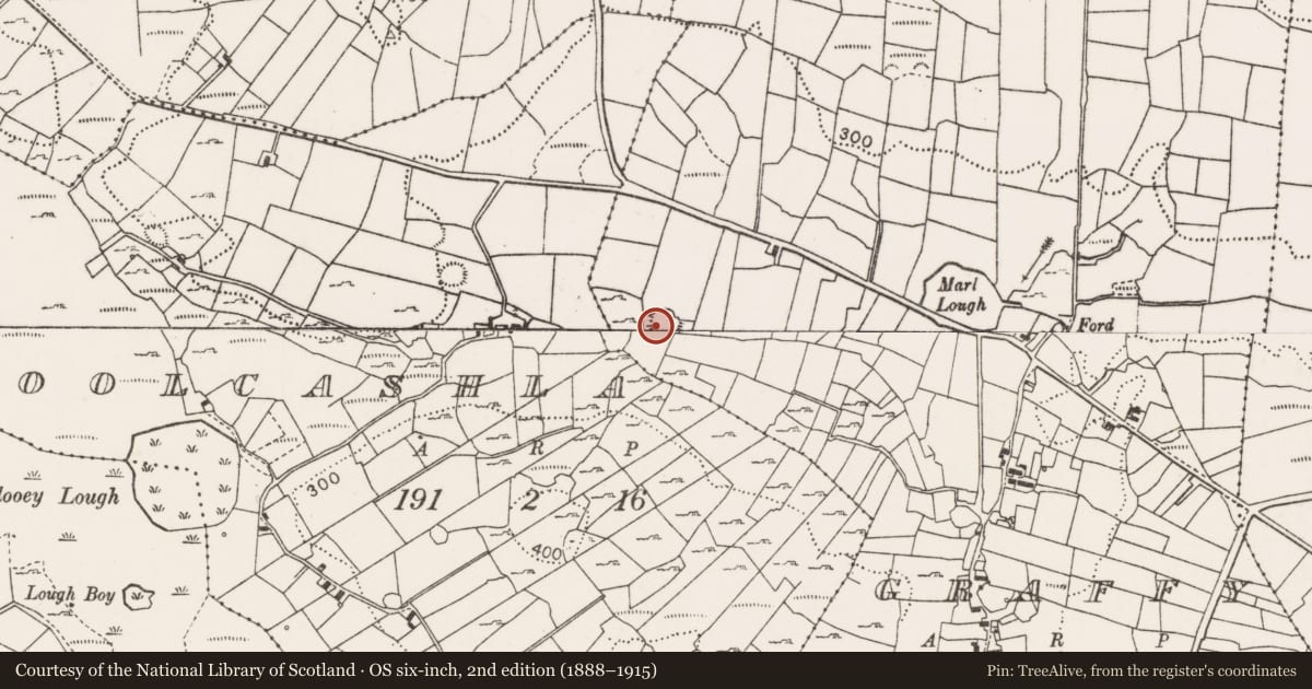 Ordnance Survey six-inch map, 2nd edition (1888–1915) covering the location of Souterrain, Graffy (Gallen By., Killasser Par.), County Mayo, with a pin at the register's coordinates
