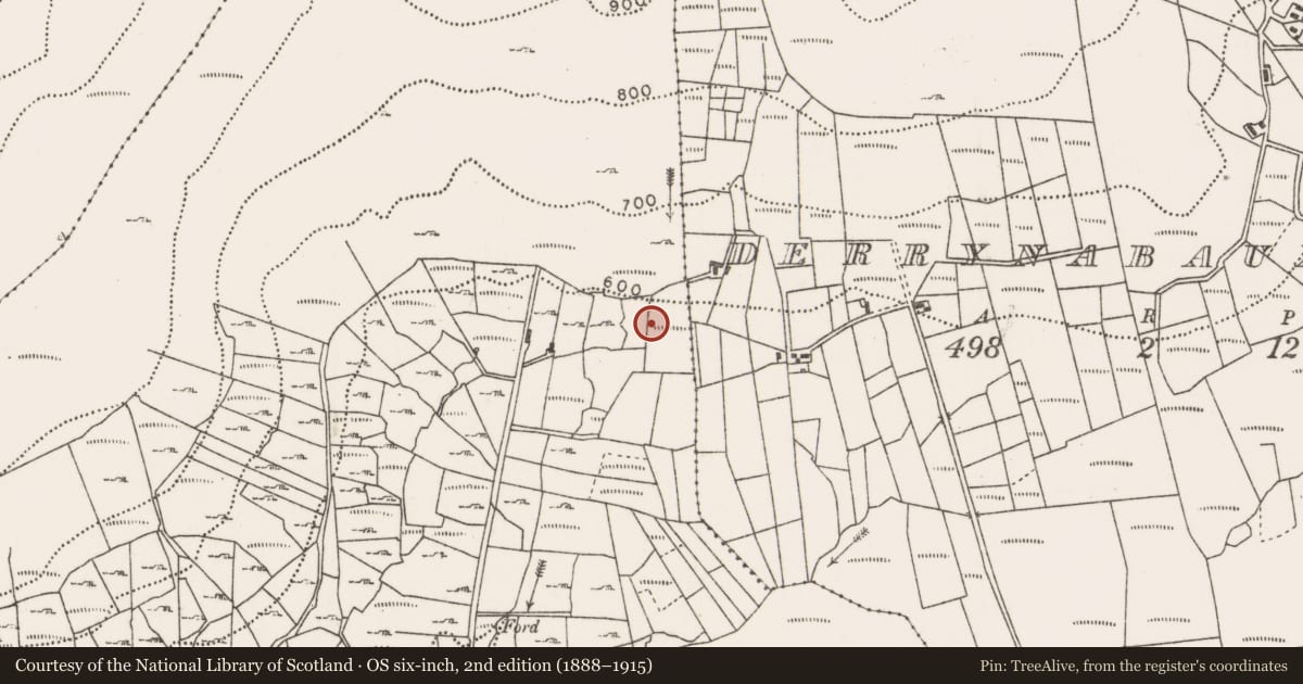 Ordnance Survey six-inch map, 2nd edition (1888–1915) covering the location of Fulacht fia, Glendaduff, County Mayo, with a pin at the register's coordinates