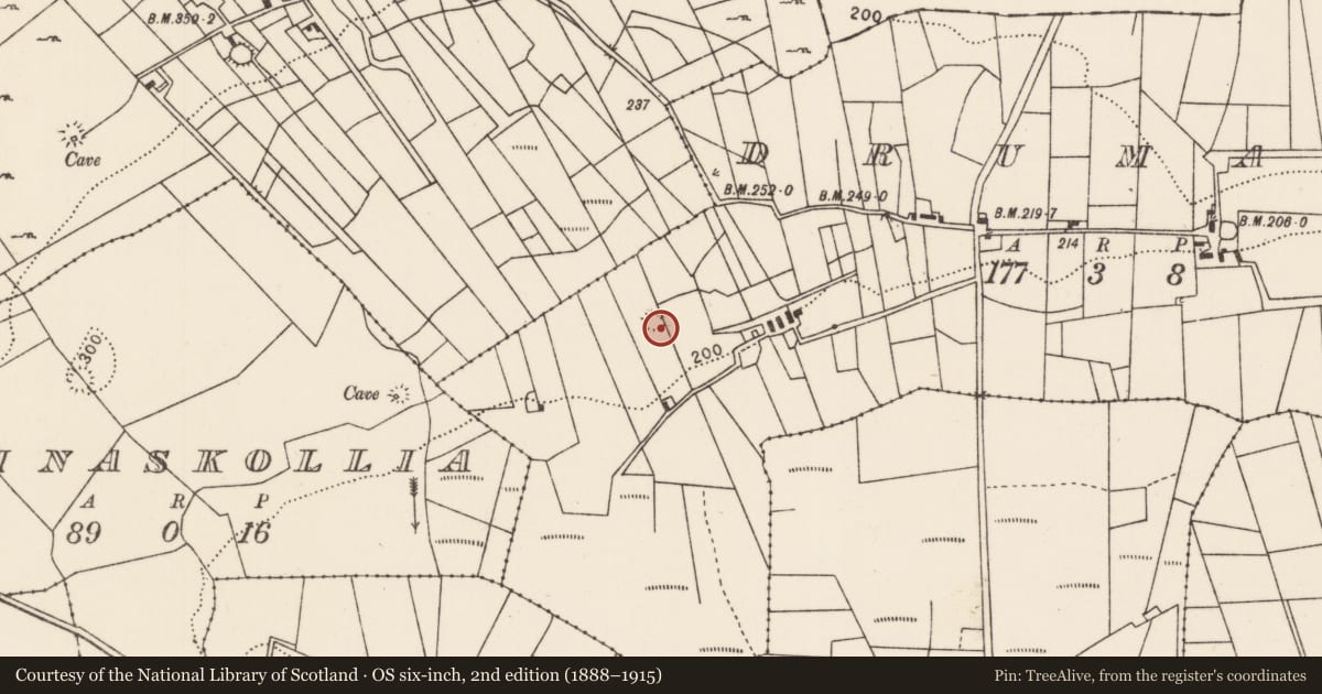 Ordnance Survey six-inch map, 2nd edition (1888–1915) covering the location of Ringfort - unclassified, Drumagh, County Mayo, with a pin at the register's coordinates
