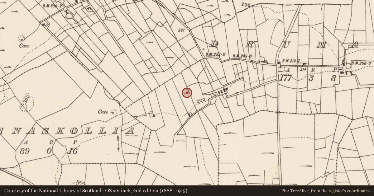 Ordnance Survey six-inch map, 2nd edition (1888–1915) covering the location of Souterrain, Drumagh, County Mayo, with a pin at the register's coordinates