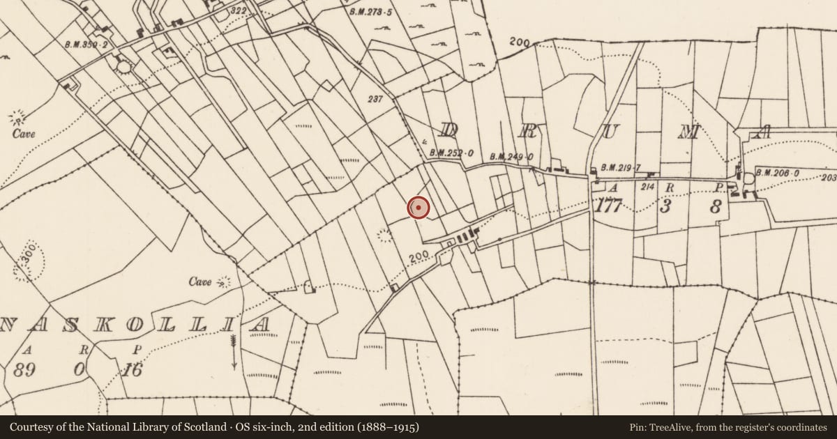 Ordnance Survey six-inch map, 2nd edition (1888–1915) covering the location of Souterrain, Drumagh, County Mayo, with a pin at the register's coordinates