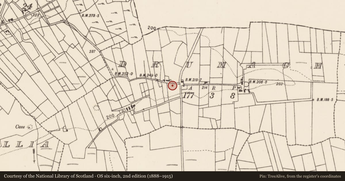 Ordnance Survey six-inch map, 2nd edition (1888–1915) covering the location of Ringfort - unclassified, Drumagh, County Mayo, with a pin at the register's coordinates