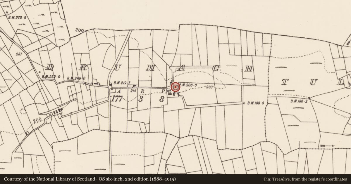 Ordnance Survey six-inch map, 2nd edition (1888–1915) covering the location of Ringfort - unclassified, Drumagh, County Mayo, with a pin at the register's coordinates