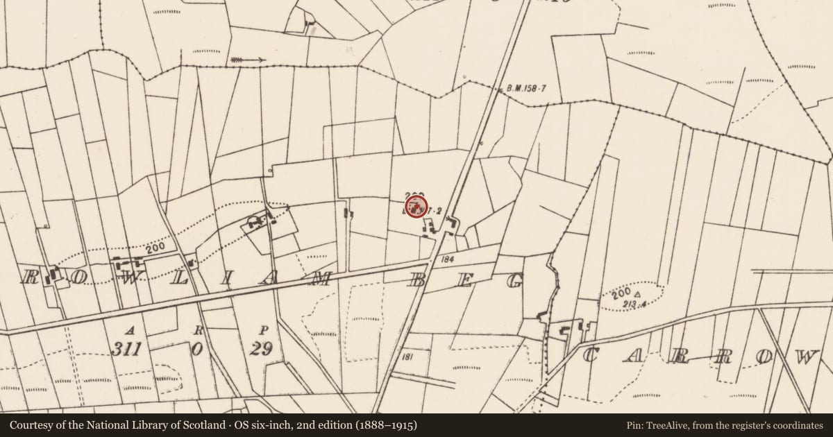 Ordnance Survey six-inch map, 2nd edition (1888–1915) covering the location of Ringfort - rath, Carrowliam Beg, County Mayo, with a pin at the register's coordinates