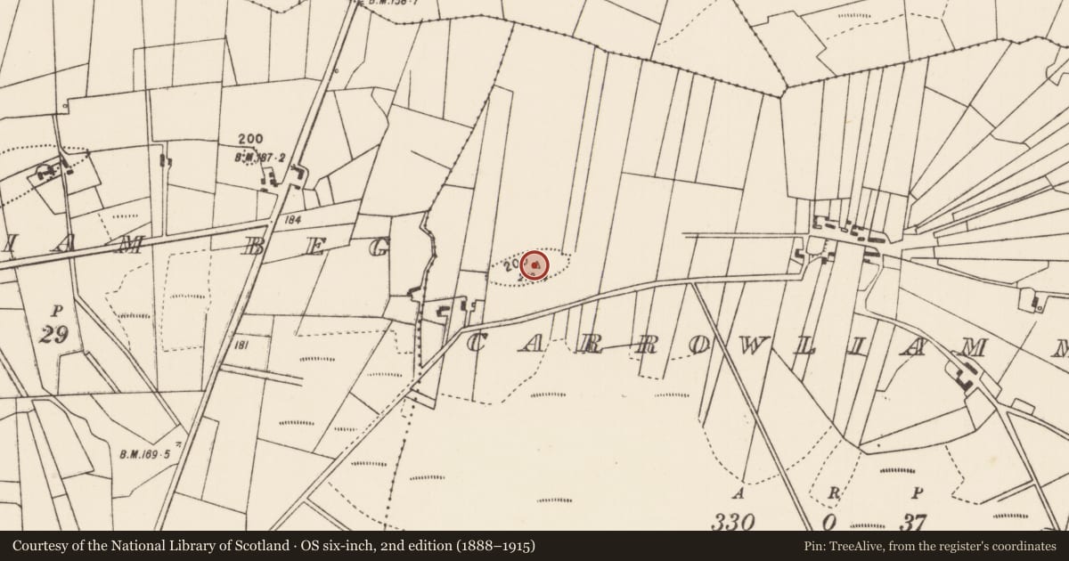 Ordnance Survey six-inch map, 2nd edition (1888–1915) covering the location of Earthwork, Carrowliam More, County Mayo, with a pin at the register's coordinates