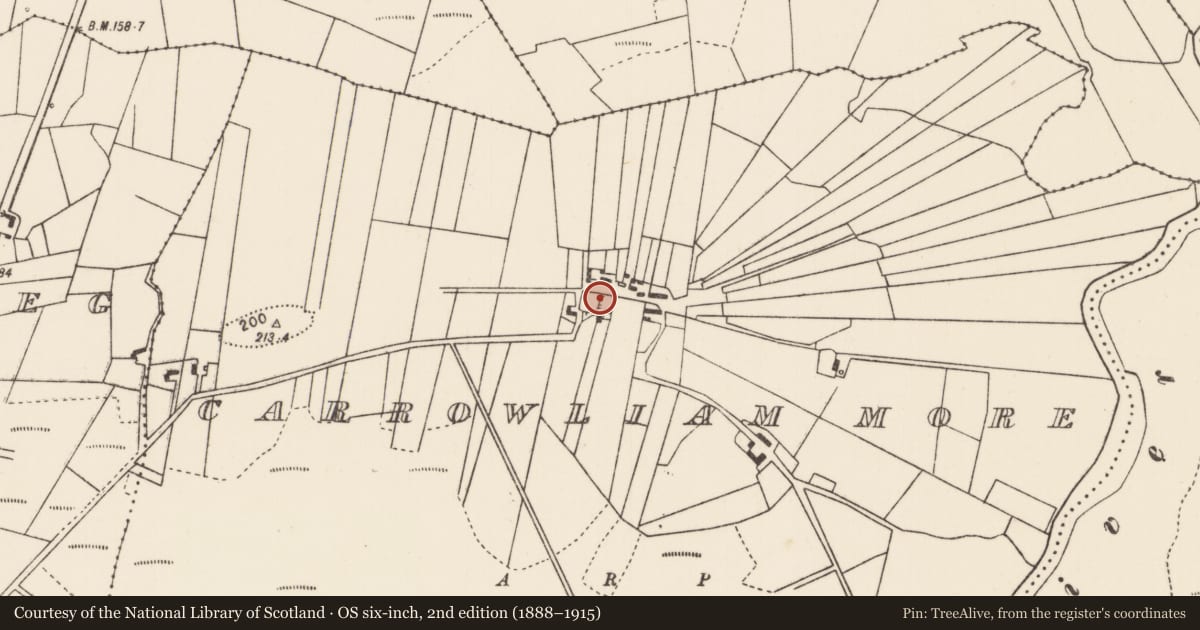 Ordnance Survey six-inch map, 2nd edition (1888–1915) covering the location of Ringfort - rath, Carrowliam More, County Mayo, with a pin at the register's coordinates