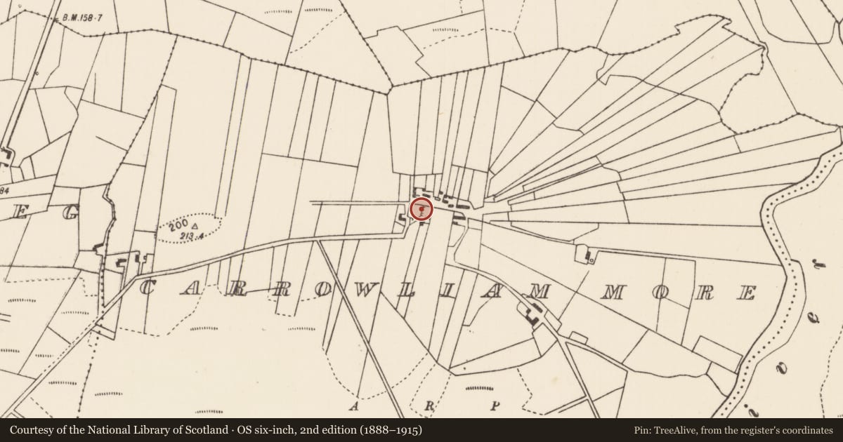 Ordnance Survey six-inch map, 2nd edition (1888–1915) covering the location of Souterrain, Carrowliam More, County Mayo, with a pin at the register's coordinates