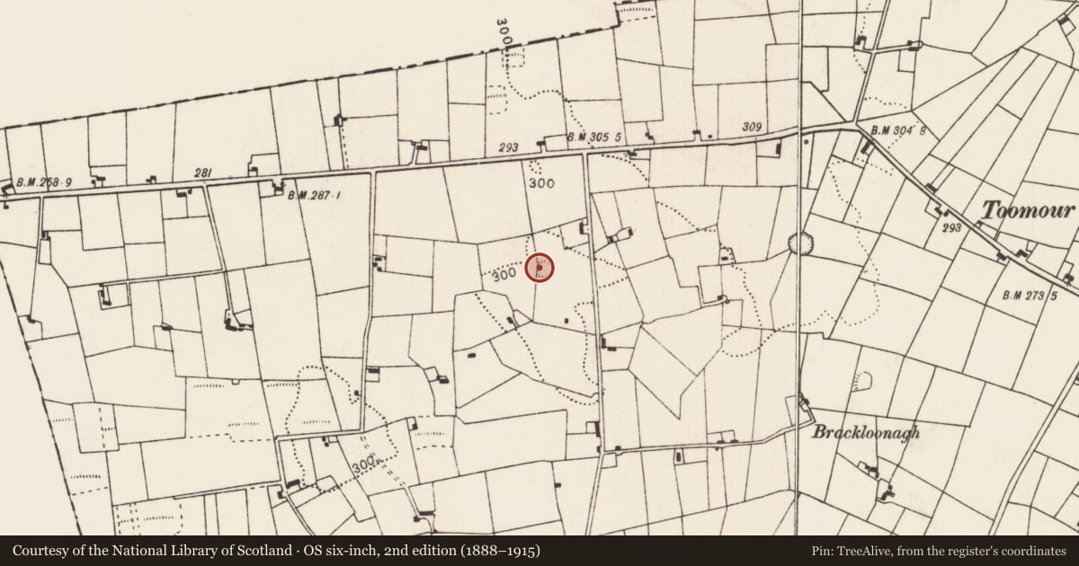Ordnance Survey six-inch map, 2nd edition (1888–1915) covering the location of Ringfort - rath, Ballindoo Or Doocastle, County Mayo, with a pin at the register's coordinates