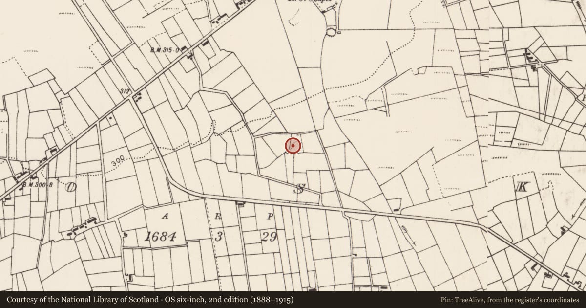 Ordnance Survey six-inch map, 2nd edition (1888–1915) covering the location of Moated site, Roosky (Costello By., Kilbeagh Par.), County Mayo, with a pin at the register's coordinates