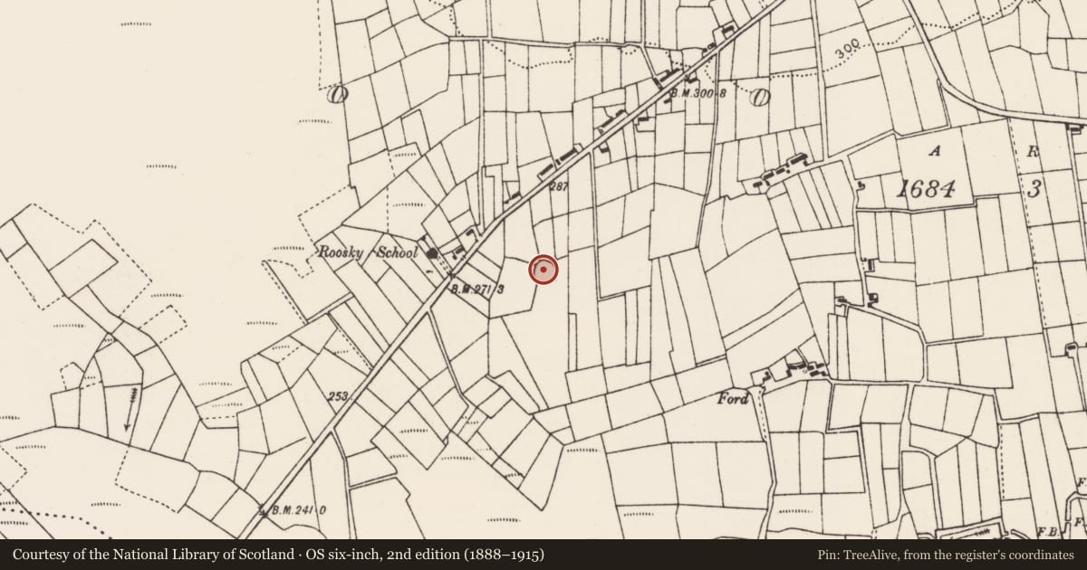 Ordnance Survey six-inch map, 2nd edition (1888–1915) covering the location of Ringfort - rath, Roosky (Costello By., Kilbeagh Par.), County Mayo, with a pin at the register's coordinates