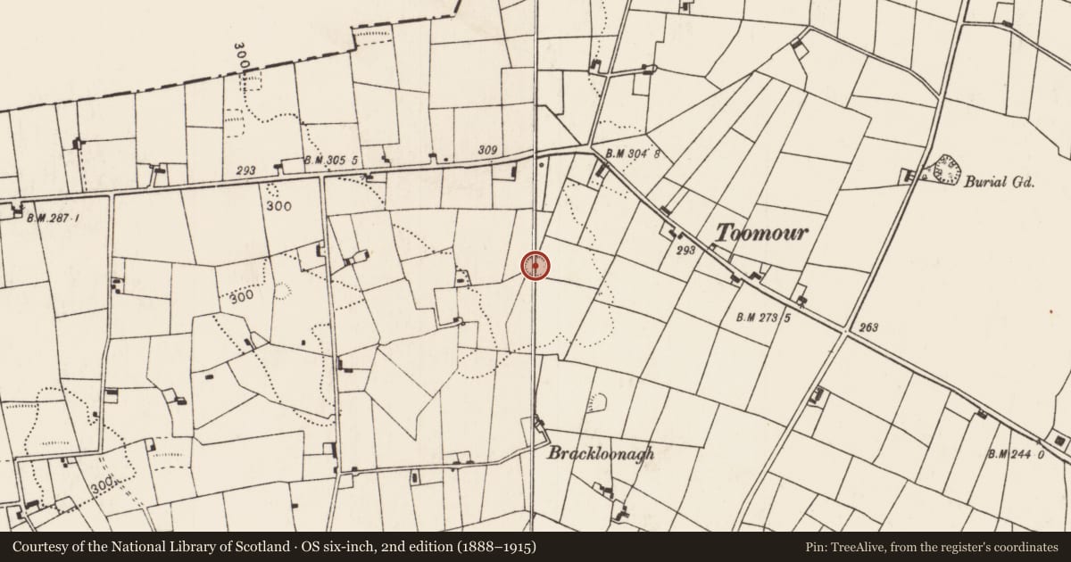 Ordnance Survey six-inch map, 2nd edition (1888–1915) covering the location of Ringfort - rath, Ballindoo Or Doocastle, County Mayo, with a pin at the register's coordinates