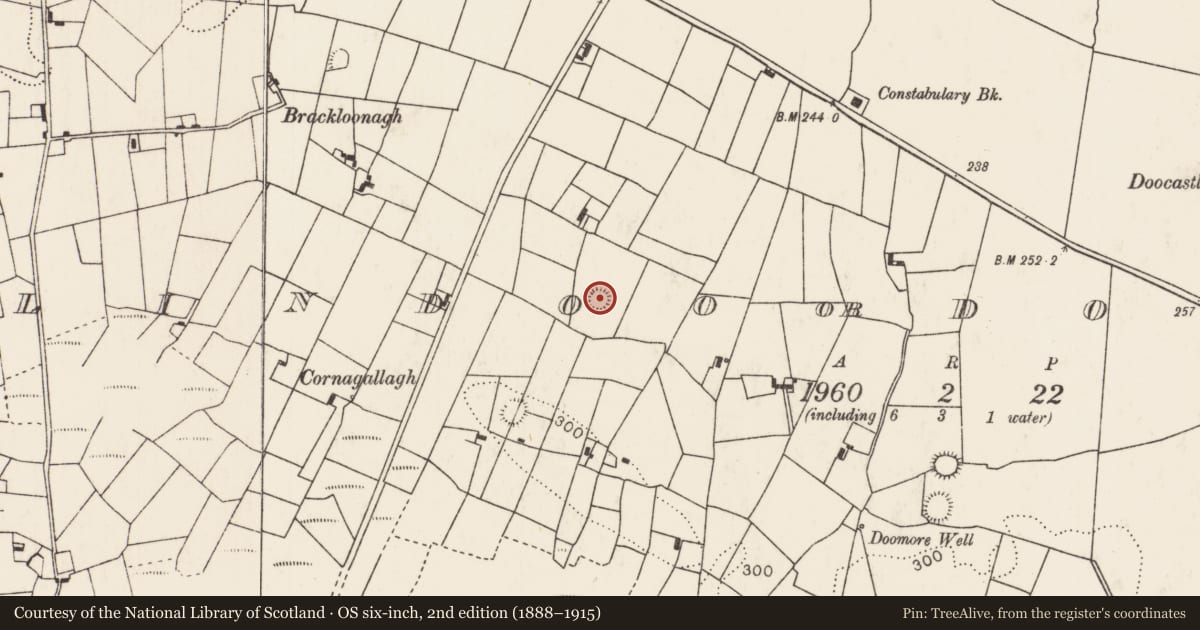 Ordnance Survey six-inch map, 2nd edition (1888–1915) covering the location of Ringfort - rath, Ballindoo Or Doocastle, County Mayo, with a pin at the register's coordinates