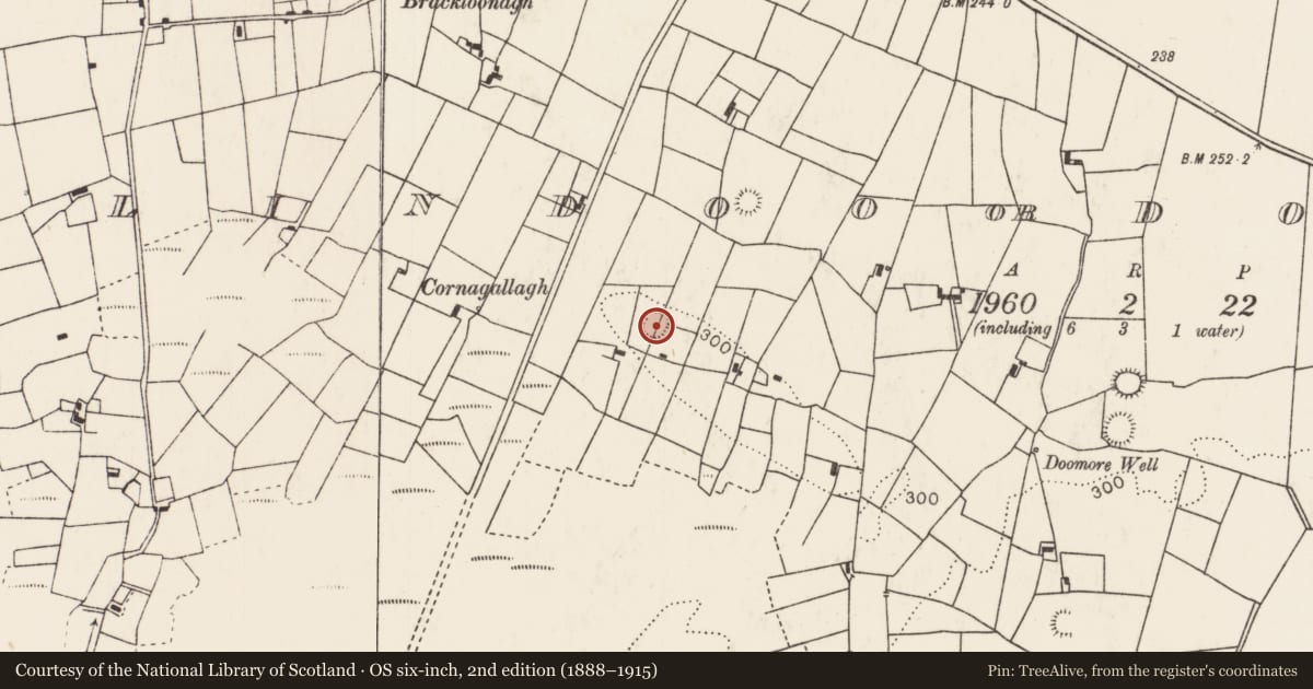 Ordnance Survey six-inch map, 2nd edition (1888–1915) covering the location of Ringfort - rath, Ballindoo Or Doocastle, County Mayo, with a pin at the register's coordinates