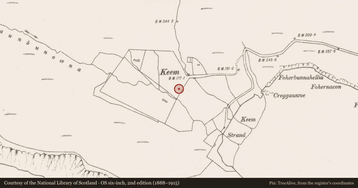 Ordnance Survey six-inch map, 2nd edition (1888–1915) covering the location of Field system, Keel West, County Mayo, with a pin at the register's coordinates