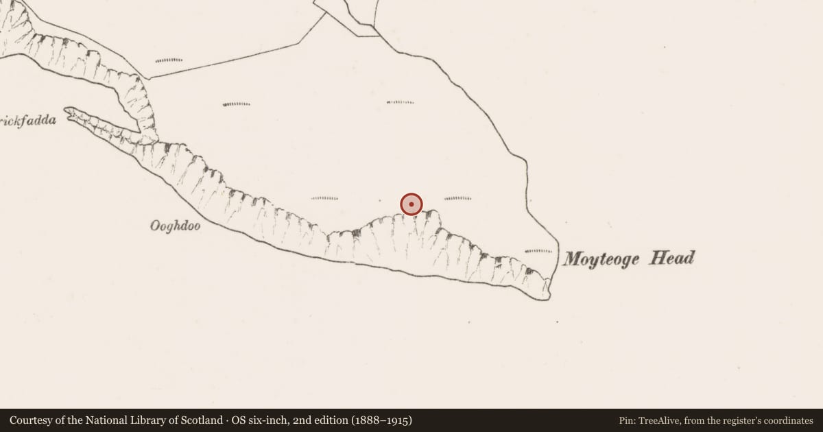 Ordnance Survey six-inch map, 2nd edition (1888–1915) covering the location of House - indeterminate date, Keel West, County Mayo, with a pin at the register's coordinates