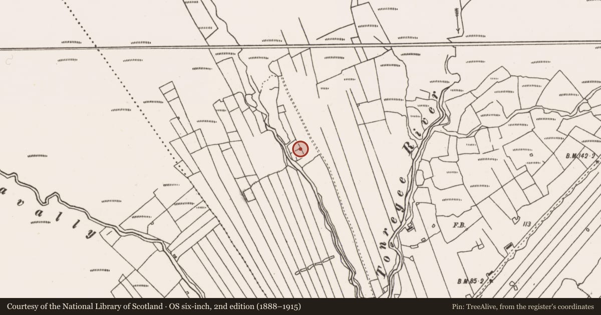 Ordnance Survey six-inch map, 2nd edition (1888–1915) covering the location of Structure, Slievemore, County Mayo, with a pin at the register's coordinates