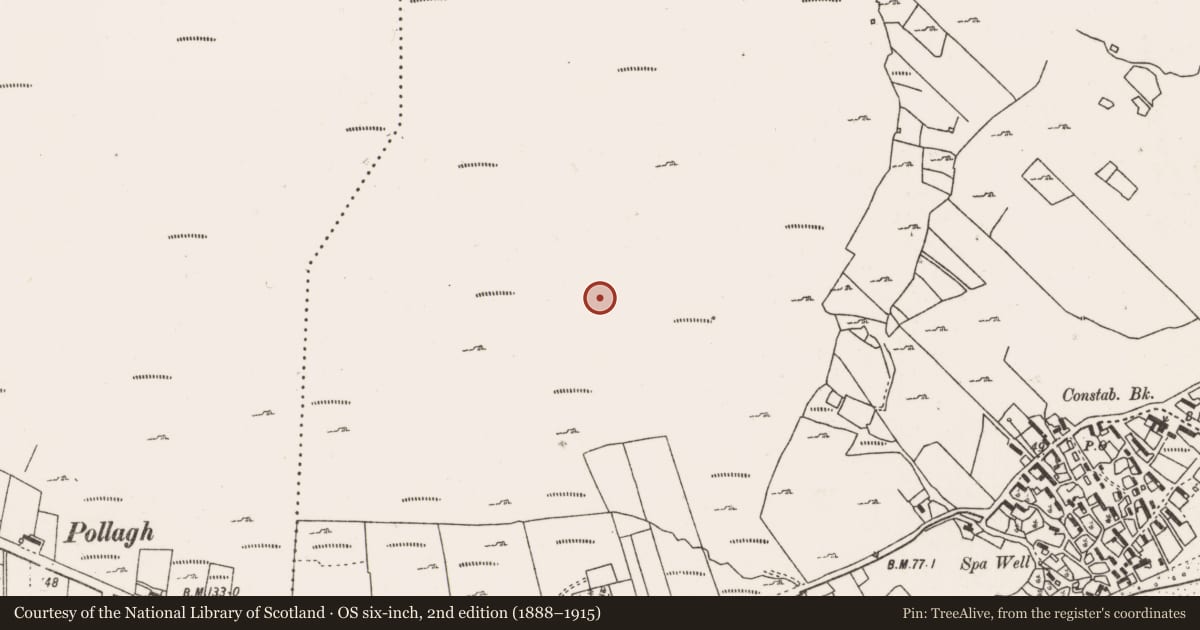 Ordnance Survey six-inch map, 2nd edition (1888–1915) covering the location of Cairn - unclassified, Keel East, County Mayo, with a pin at the register's coordinates