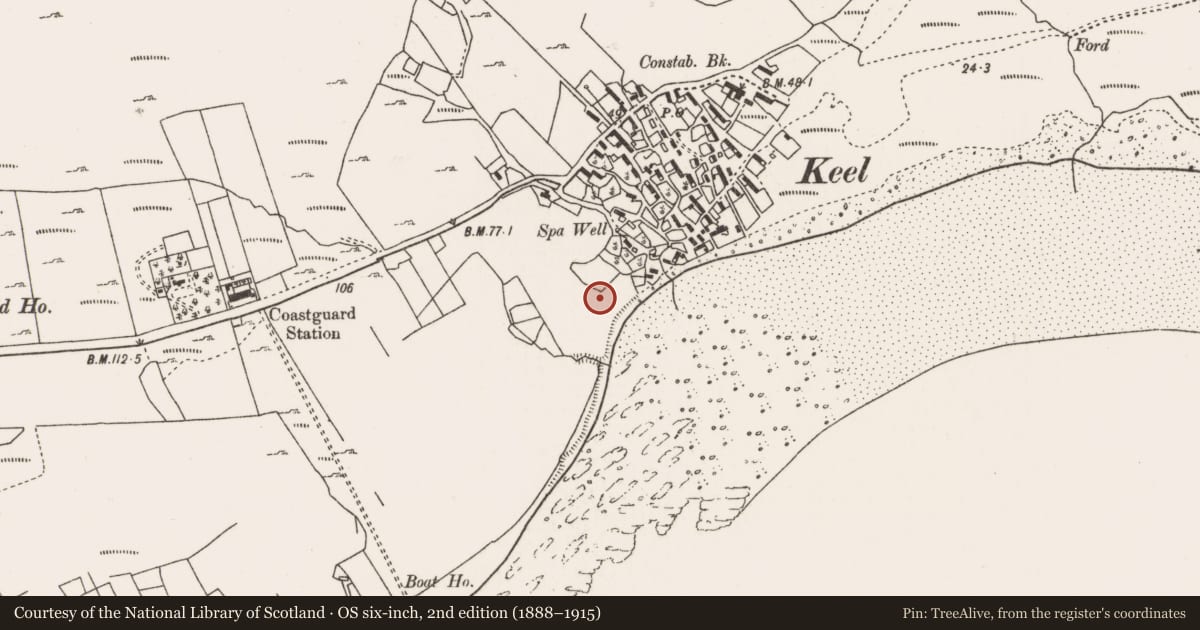 Ordnance Survey six-inch map, 2nd edition (1888–1915) covering the location of Children's burial ground, Keel East, County Mayo, with a pin at the register's coordinates